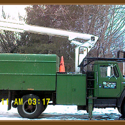 Carter Tree Service - There isn't a tree in the State of Maine that we can't get down. Free Estimates.
www.cartertreeservices.com