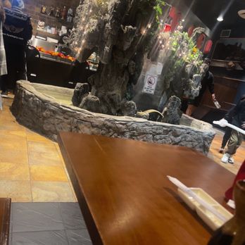 Shogun Hibachi - Japanese Near Me - Forest Hills, New York Shogun Hibachi - Japanese Near Me - Forest Hills, New York