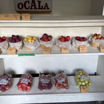 Ocala Winery - Wineries Near Me - Port Perry, Ontario