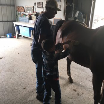 Hart Ranch - John let my son help groom the horses after his lesson. - Horseback Riding Near Me - Yakima, Washington