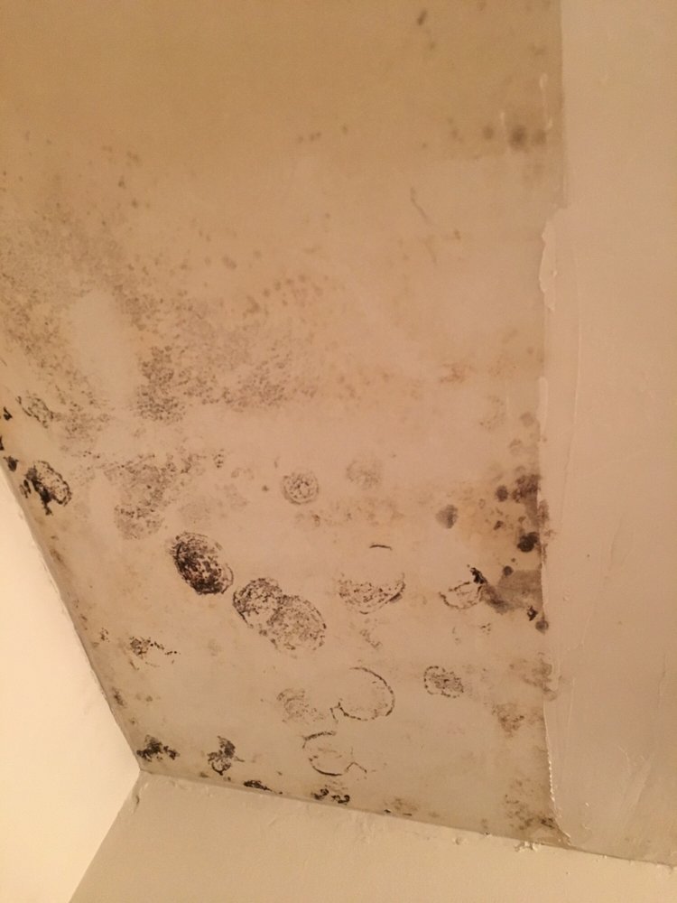 NORTHEAST TENNESSEE RENTAL PROPERTIES Updated August 2024 546 E Elk