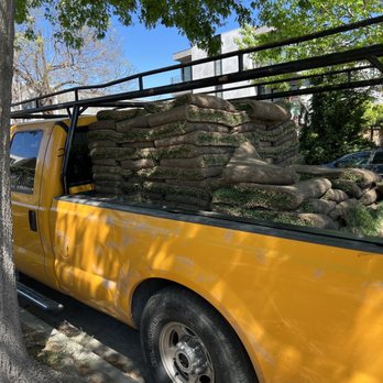 The Gardener - Our front lawn in Jose's truck! - Landscaping Near Me