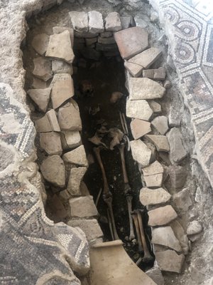 Domus del Chirurgo by null