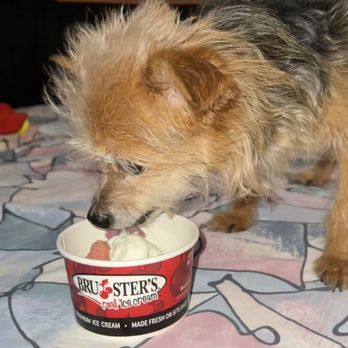 Bruster's Real Ice Cream - Ice Cream & Frozen Yogurt Near Me - Altamonte Springs, Florida Bruster's Real Ice Cream - Ice Cream & Frozen Yogurt Near Me - Altamonte Springs, Florida