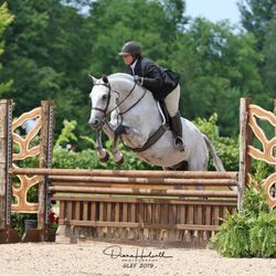 Meadowview Farm - Moonwalk jumping in Traverse City