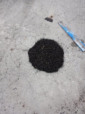 Pothole repair - A bridal shoppe owner in jensen beach requested to fill his potholes in store front parking lot.