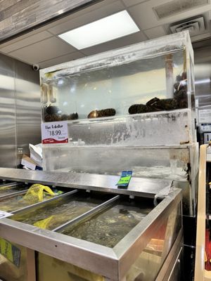 Seafood City Supermarket by null