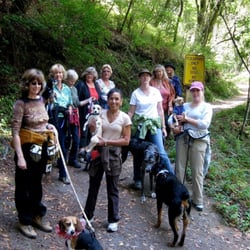 Woofers & Walkers