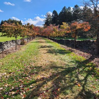 State Arboretum of Virginia - Our path. - Parks Near Me - Boyce, Virginia State Arboretum of Virginia - Our path. - Parks Near Me - Boyce, Virginia