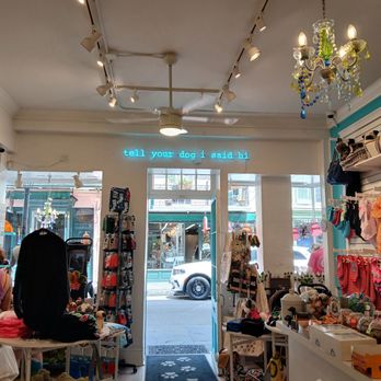Southern Paws - Pet Stores Near Me - New Orleans, Louisiana Southern Paws - Pet Stores Near Me - New Orleans, Louisiana