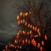 Denver Zoo Lights gift card