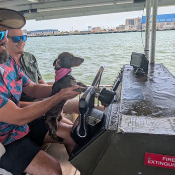 Baywatch Dolphin Tours - Tours Near Me - Galveston, Texas