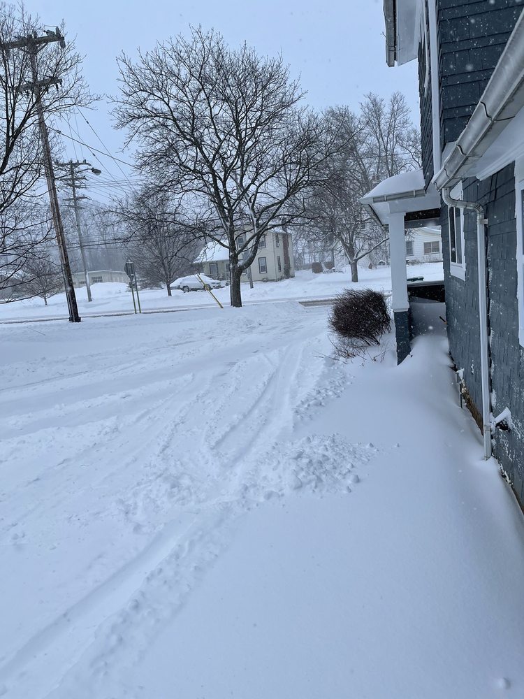 BEST CARE LAWN MAINTENANCE Updated October 2024 14 Photos 80 Mercer Ave, Rochester, New