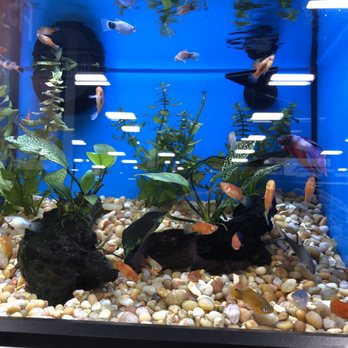 Pet Supermarket - Pet Stores Near Me - Jacksonville, Florida Pet Supermarket - Pet Stores Near Me - Jacksonville, Florida