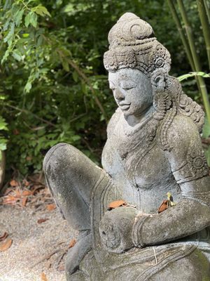 Rip Van Winkle Gardens by null