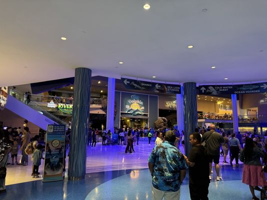Georgia Aquarium by null