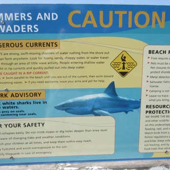 Coyote Kayaks - Wish we would've seen this sign before we stupidly kayaked over to the point by lighthouse and swam by the cute seals! - Paddleboarding Near Me - Provincetown, Massachusetts Coyote Kayaks - Wish we would've seen this sign before we stupidly kayaked over to the point by lighthouse and swam by the cute seals! - Paddleboarding Near Me - Provincetown, Massachusetts