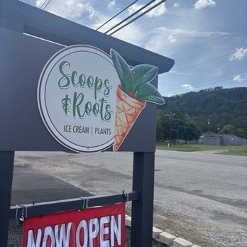 Scoops & Roots - Outside sign - Ice Cream & Frozen Yogurt Near Me - Canyon Lake, Texas Scoops & Roots - Outside sign - Ice Cream & Frozen Yogurt Near Me - Canyon Lake, Texas