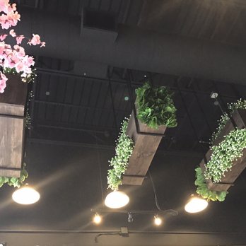 1102 Bubble Tea & Bites - Look at that ceiling decor - Desserts Near Me - Arlington, Texas