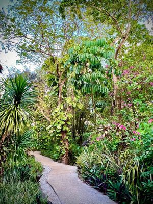 Coco Grove Beach Resort by null