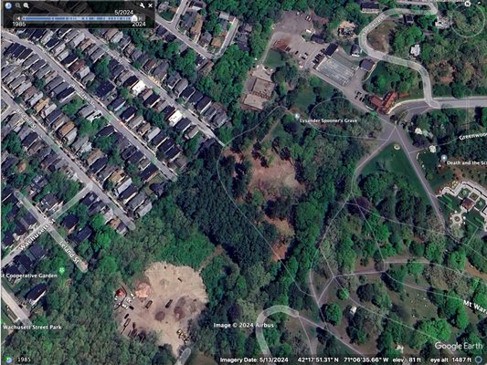 Forest Hills Cemetery by null