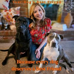 Your Dog's Best Friend - Reliable dog walking in Woodland Hills