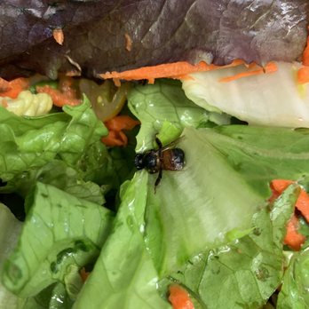 Barolo Cafe - Bee in food - Italian Near Me - Tustin, California Barolo Cafe - Bee in food - Italian Near Me - Tustin, California