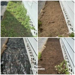 Upstate Invasive Plant Control & Native Restoration