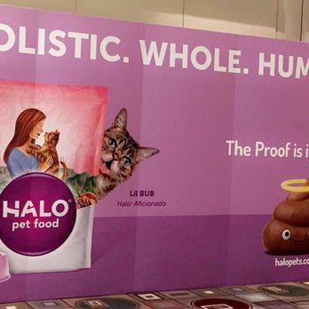 Pasadena Convention Center - Cat Con - Lil Bub meet and greet - Venues & Event Spaces Near Me - Pasadena, California