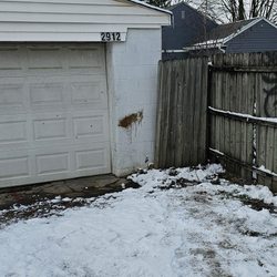 Orange Boy Logistics - Yard cleanup