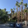 Photo of Phillip's Tree Service