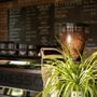 The District Coffee
