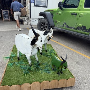 Screaming Goat Yard & Tap - outside - Coffee & Tea Near Me - Spring Branch, Texas Screaming Goat Yard & Tap - outside - Coffee & Tea Near Me - Spring Branch, Texas