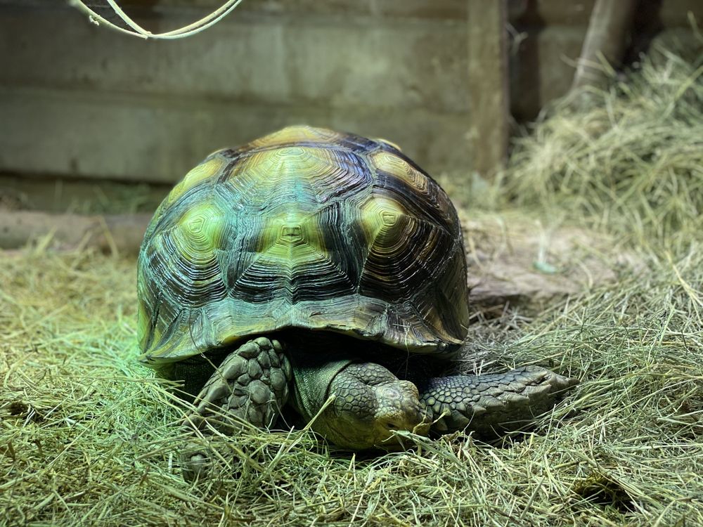 San Antonio Aquarium, Leon Valley Roadtrippers