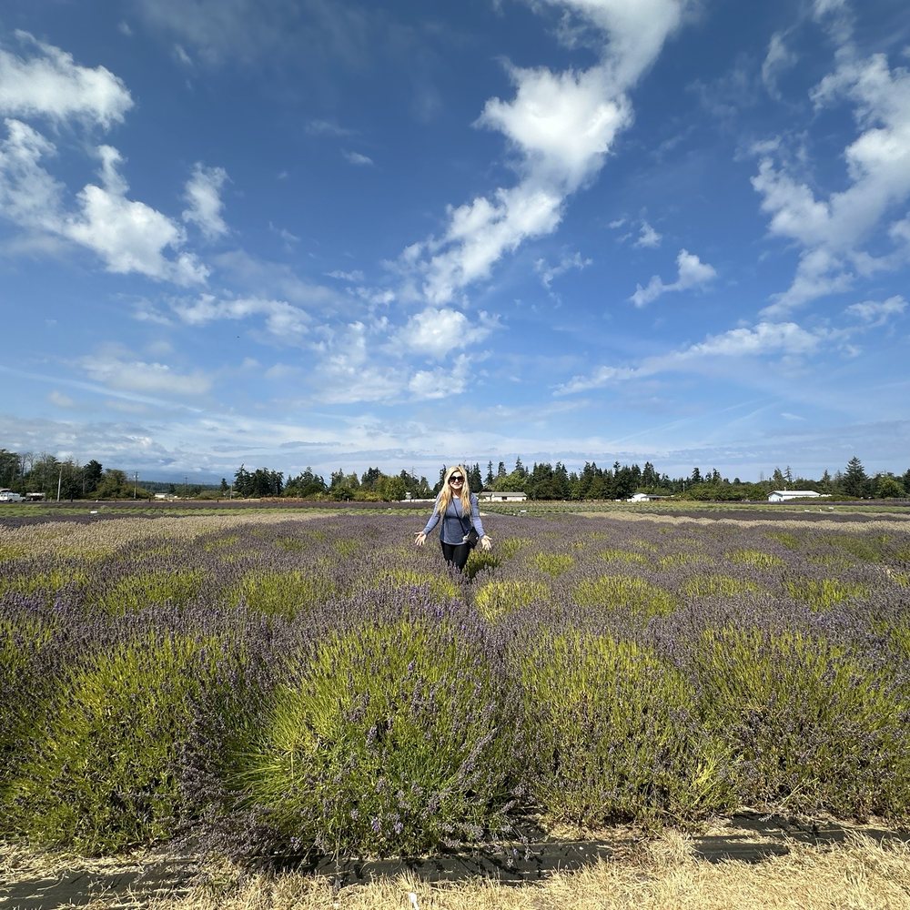 B & B Family Farm - The farm - beautiful - Walking Tours Near Me - Sequim, Washington B & B Family Farm - The farm - beautiful - Walking Tours Near Me - Sequim, Washington