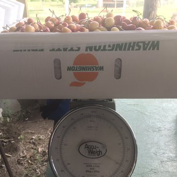 Stutzman Ranch - Getting my cherries weighed - Ranches Near Me - Wenatchee, Washington Stutzman Ranch - Getting my cherries weighed - Ranches Near Me - Wenatchee, Washington