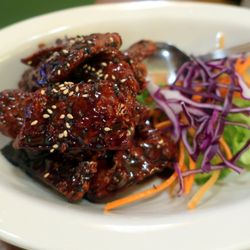 Padmanadi Vegetarian Restaurant