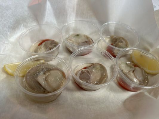 Original Oyster House by null