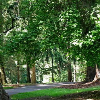 Laurelhurst Park - Just steps away from a busy road, curving paths and a tree canopy make you forget where you are - Parks Near Me - Portland, Oregon Laurelhurst Park - Just steps away from a busy road, curving paths and a tree canopy make you forget where you are - Parks Near Me - Portland, Oregon