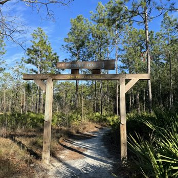 Jennings State Forest - Pioneer trails gate from parking lot - Hiking Near Me - Middleburg, Florida Jennings State Forest - Pioneer trails gate from parking lot - Hiking Near Me - Middleburg, Florida