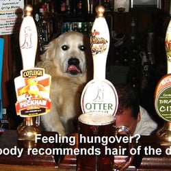 Blue Peter Inn