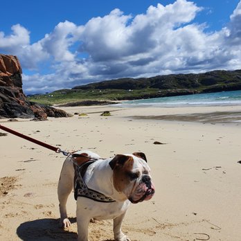 Oldshoremore Beach - Beaches Near Me - Oldshoremore