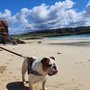 Photo of Oldshoremore Beach
