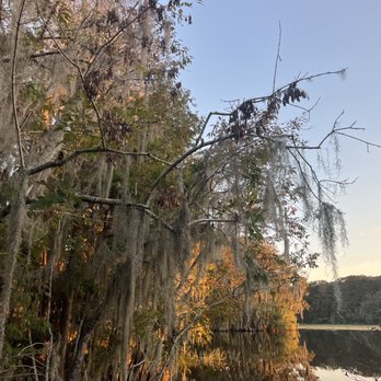Kachunga Airboat Adventures - Sunset - Boat Tours Near Me - Lake Panasoffkee, Florida Kachunga Airboat Adventures - Sunset - Boat Tours Near Me - Lake Panasoffkee, Florida