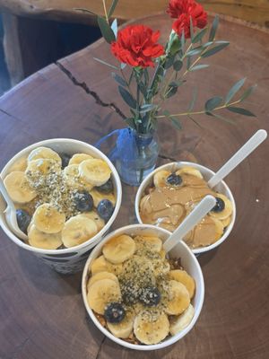 Backyard Bowls by null