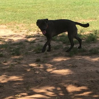 Westgrove Dog Park - Random - Dog Parks Near Me - Alexandria, Virginia Westgrove Dog Park - Random - Dog Parks Near Me - Alexandria, Virginia