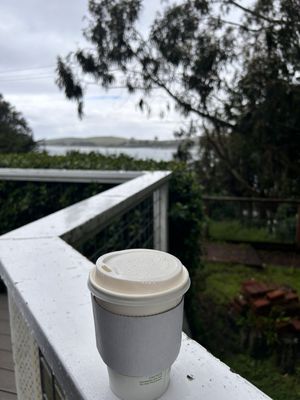 The Birds Cafe by null