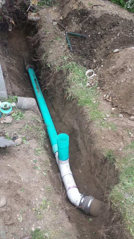 Slide of Gray's Rooter