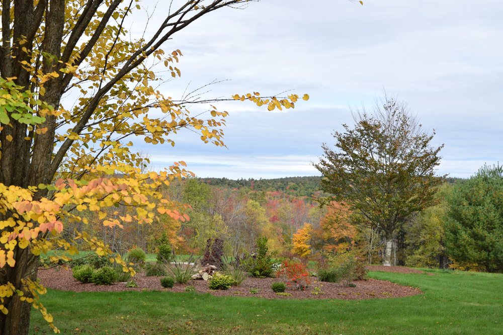 LITCHFIELD HILLS NURSERY Updated May 2024 393 Torrington Rd