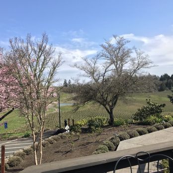 Elk Cove Vineyards - Wineries Near Me - Gaston, Oregon Elk Cove Vineyards - Wineries Near Me - Gaston, Oregon